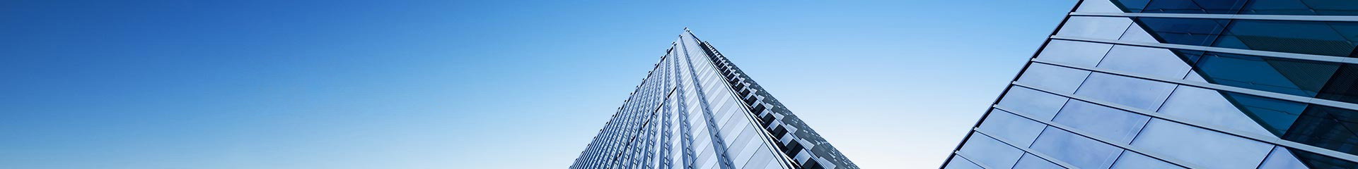 全價(jià)貓糧 魚肉味-貓糧-濟(jì)南寶翠飼料有限公司官方網(wǎng)站